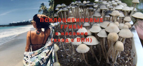 гидропоника Алексеевка