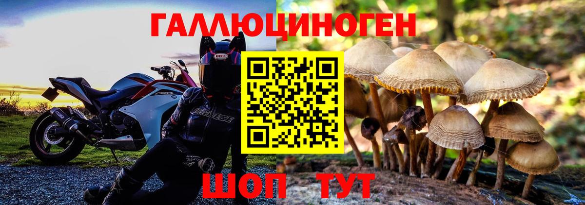 Галлюциногенные грибы Cubensis  Псилоцибиновые грибы Psilocybine cubensis  Вход с VPN  Клин 