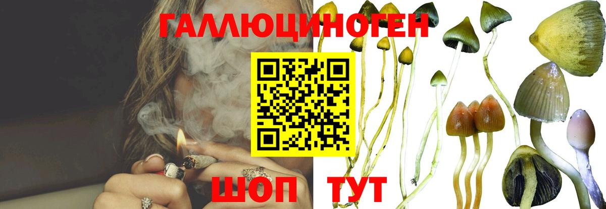 Псилоцибиновые грибы MAGIC MUSHROOMS Клин
